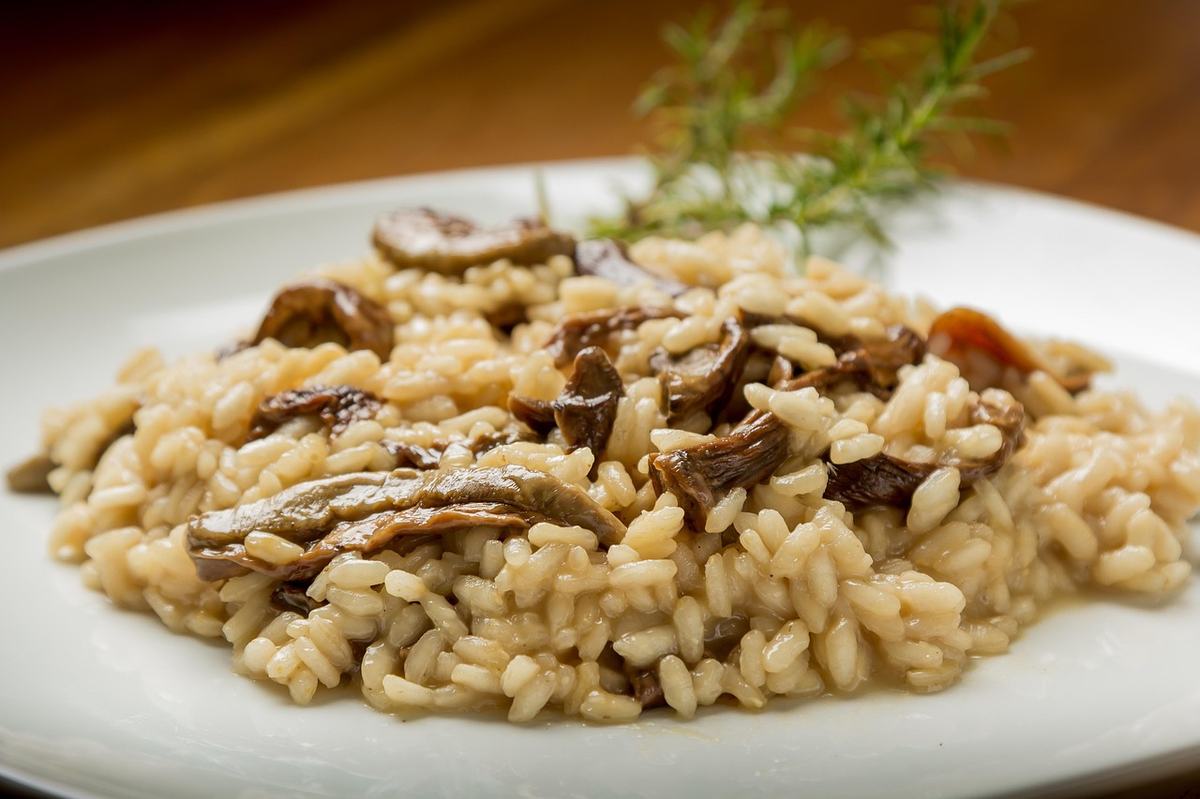 Risotto mit Pilzen auf einem weißen Teller, die einzelnen Reiskörner sind in der sämigen Bindung noch gut zu erkennen