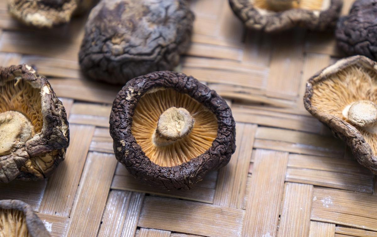 Getrocknete Shiitake-Pilze auf einer Bambusmatte